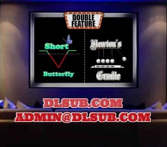 StratagemTrade Newtons Cradle and Short Fly and Condor Primer