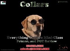 StratagemTrade Collars Mini Class Primer October 2023