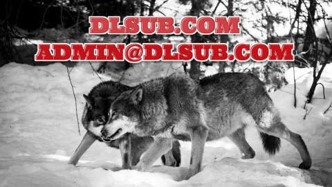 STOCK MARKET WOLF - Complete Option Course (stockmarketwolf.com) $999