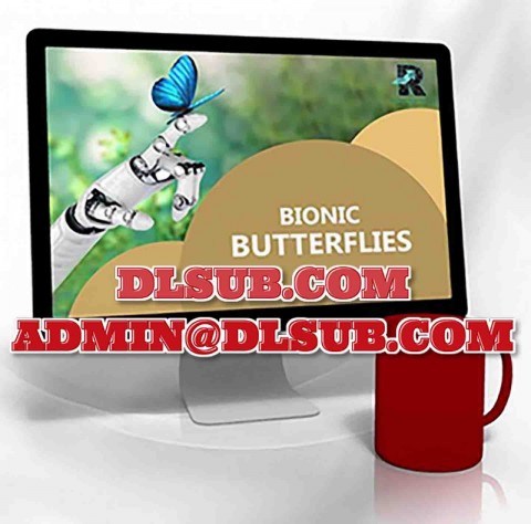 Random Walk Trading Bionic Butterflies randomwalktrading.com