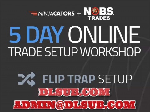 Product image of Ninjacators with NO BS Trades Flip Trap Setup online course