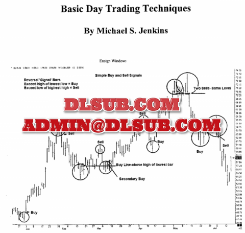Michael Jenkins Basic Day Trading Techniques Book