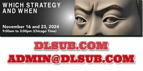 StratagemTrade vendor marketing portrait for Which Strategy When course